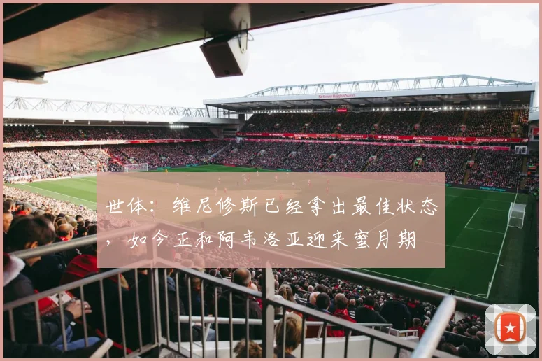 世体：维尼修斯已经拿出最佳状态，如今正和阿韦洛亚迎来蜜月期
