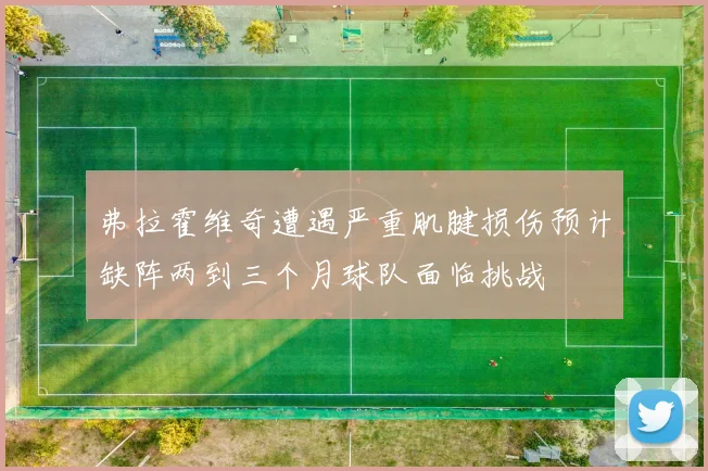弗拉霍维奇遭遇严重肌腱损伤预计缺阵两到三个月球队面临挑战