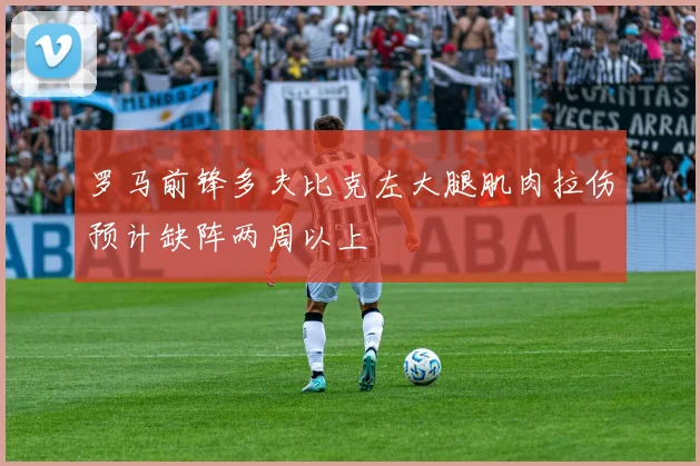 罗马前锋多夫比克左大腿肌肉拉伤预计缺阵两周以上