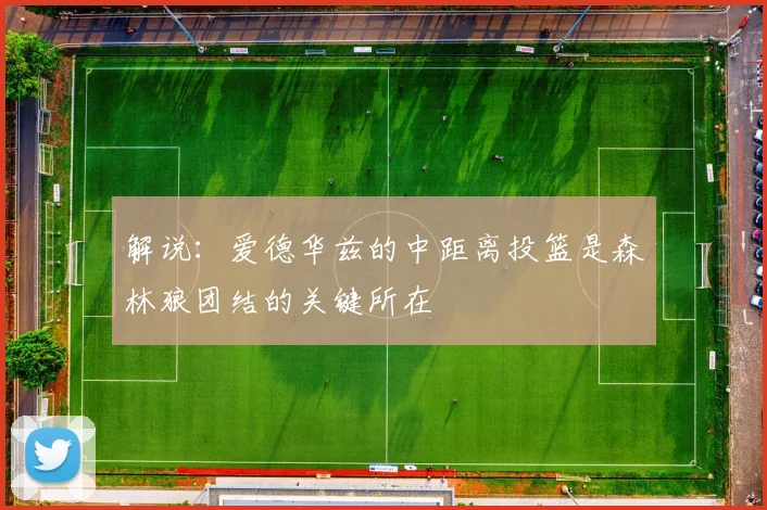 解说：爱德华兹的中距离投篮是森林狼团结的关键所在