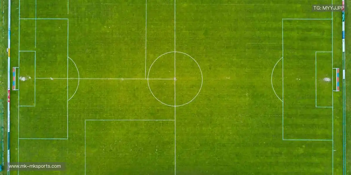 📺 实时解说，带你沉浸式感受赛场心跳！